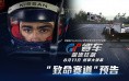 宠物小镇物语全攻略｜新手入门到进阶，打造专属治愈小镇